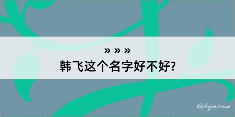 韩飞这个名字好不好?