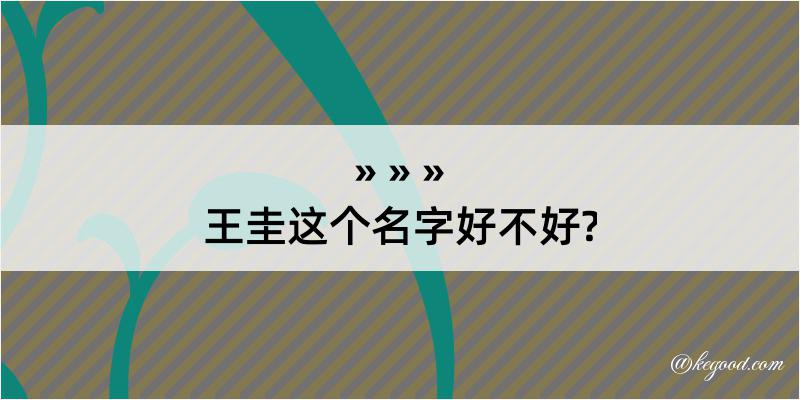 王圭这个名字好不好?