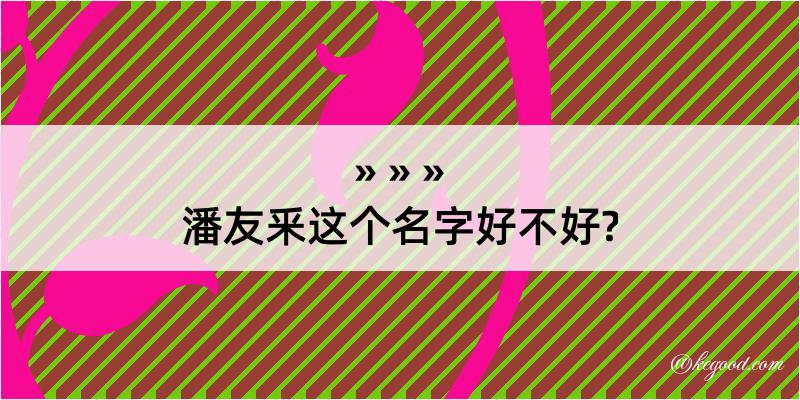 潘友釆这个名字好不好?