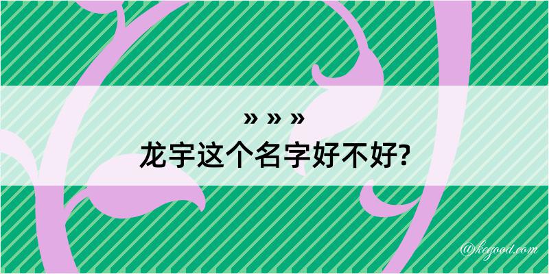 龙宇这个名字好不好?