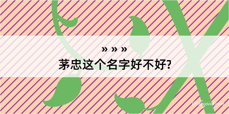 茅忠这个名字好不好?