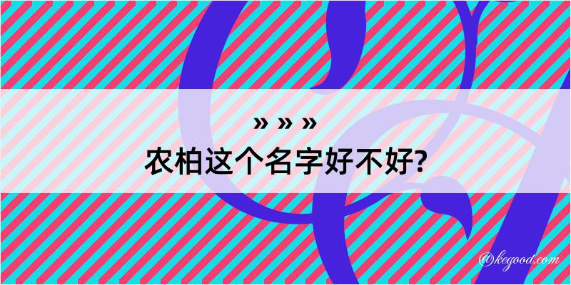 农柏这个名字好不好?