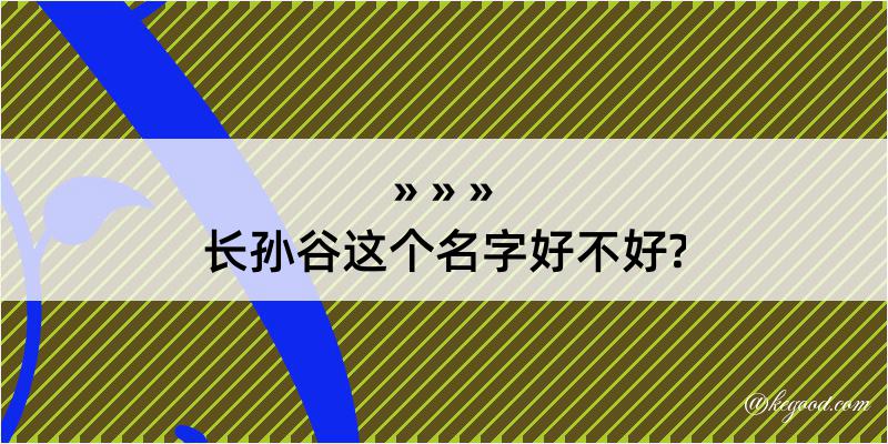 长孙谷这个名字好不好?