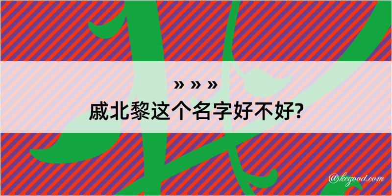 戚北黎这个名字好不好?