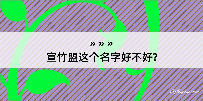 宣竹盟这个名字好不好?