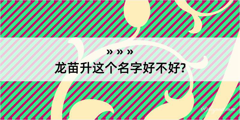 龙苗升这个名字好不好?