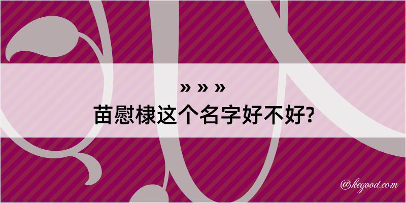 苗慰棣这个名字好不好?