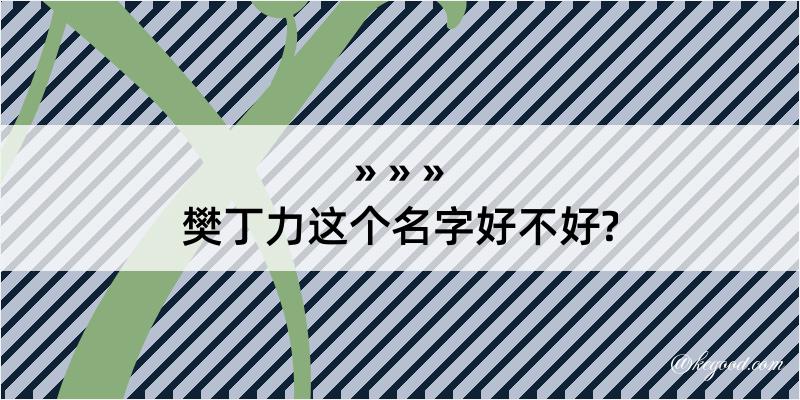 樊丁力这个名字好不好?