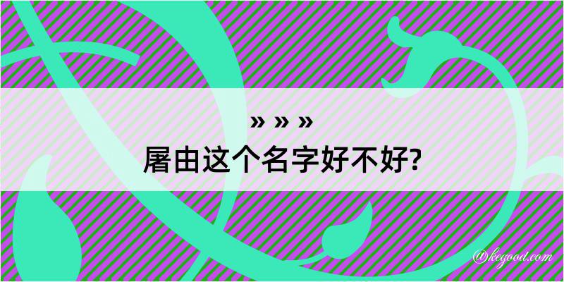 屠由这个名字好不好?