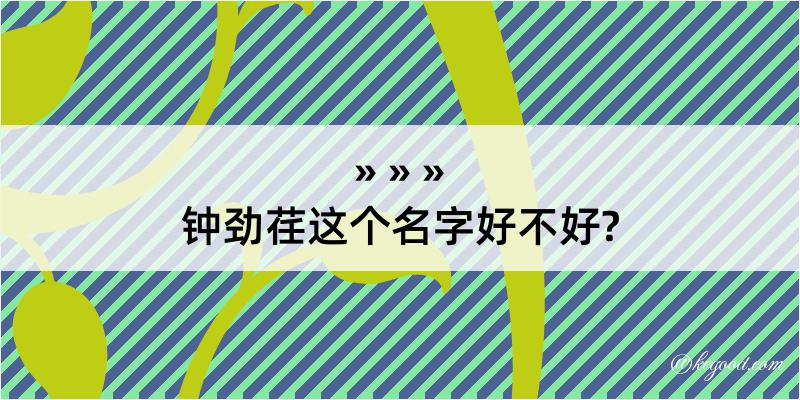 钟劲荏这个名字好不好?