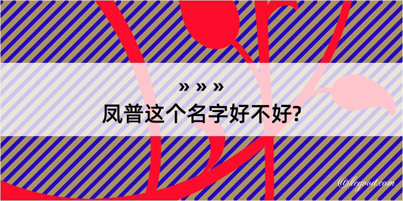 凤普这个名字好不好?