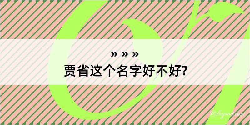 贾省这个名字好不好?