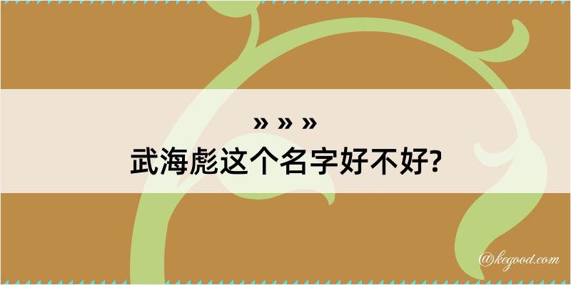 武海彪这个名字好不好?