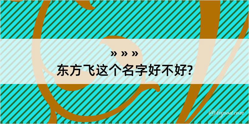 东方飞这个名字好不好?