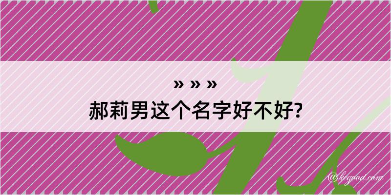 郝莉男这个名字好不好?