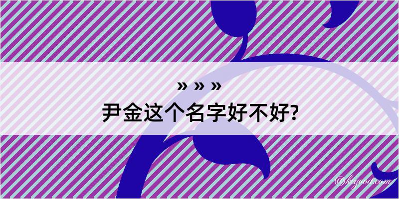 尹金这个名字好不好?