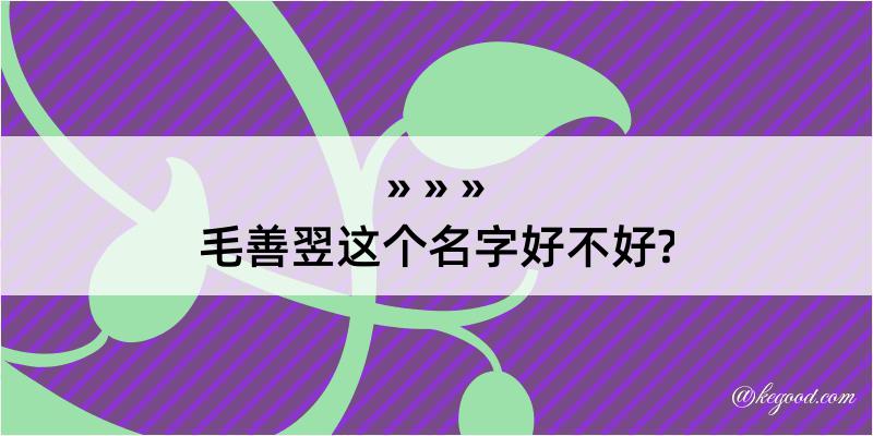 毛善翌这个名字好不好?