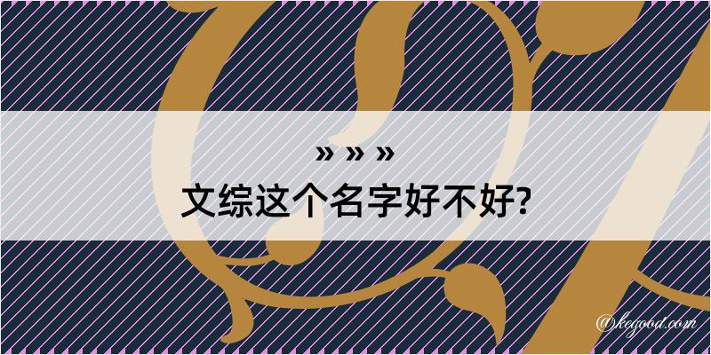 文综这个名字好不好?