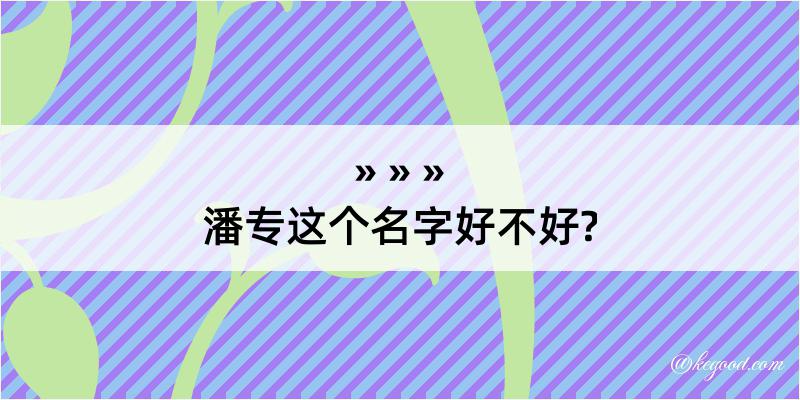 潘专这个名字好不好?