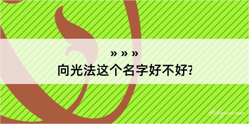 向光法这个名字好不好?