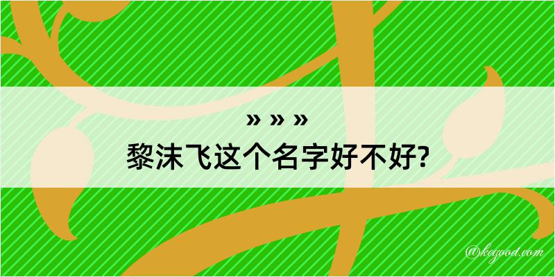 黎沫飞这个名字好不好?