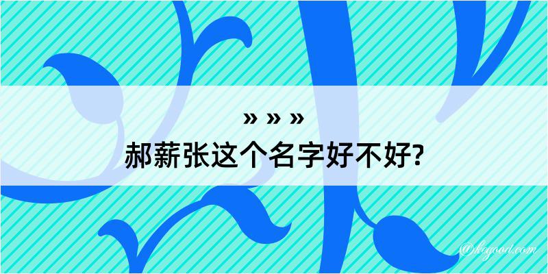 郝薪张这个名字好不好?