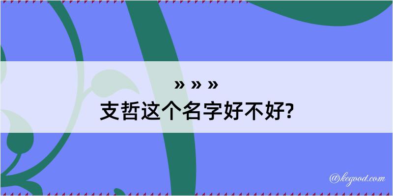 支哲这个名字好不好?