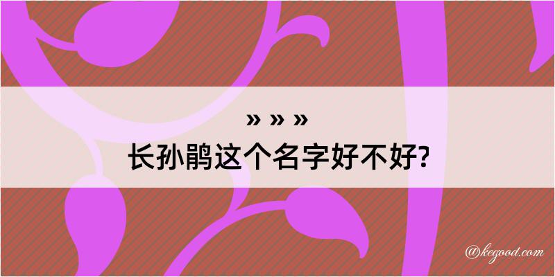 长孙鹃这个名字好不好?