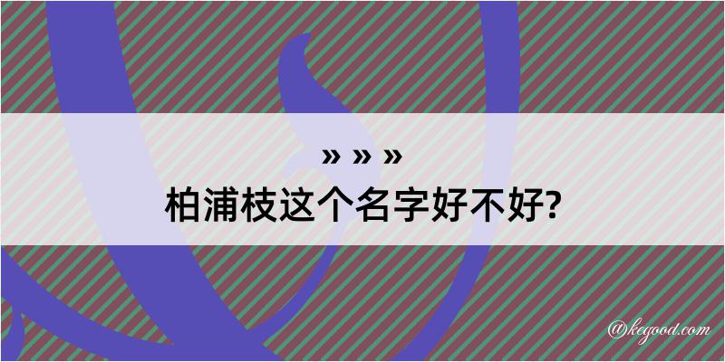 柏浦枝这个名字好不好?