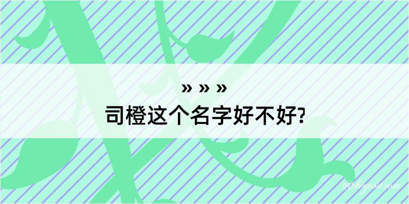 司橙这个名字好不好?