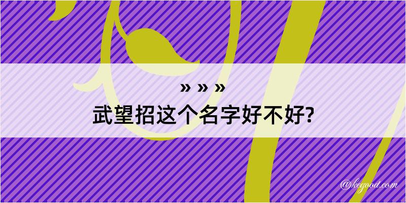 武望招这个名字好不好?