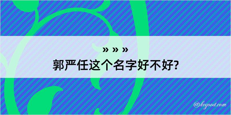 郭严任这个名字好不好?