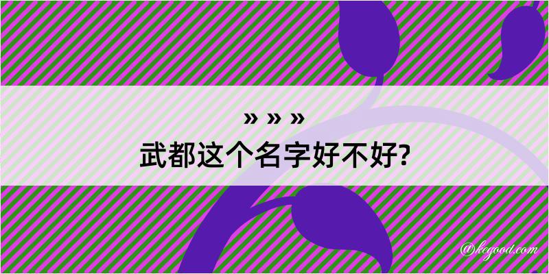 武都这个名字好不好?