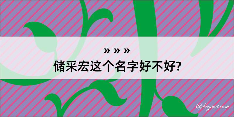 储采宏这个名字好不好?