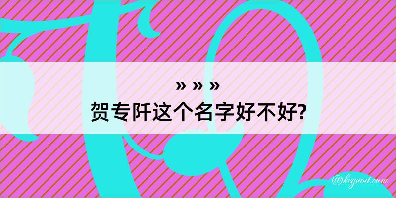 贺专阡这个名字好不好?