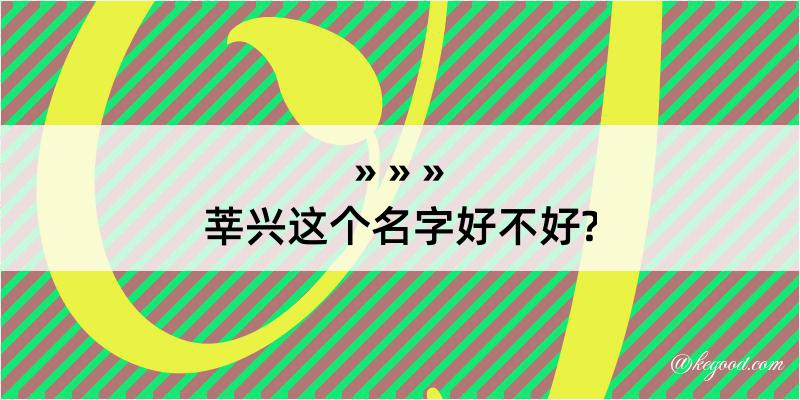 莘兴这个名字好不好?