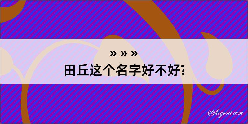 田丘这个名字好不好?