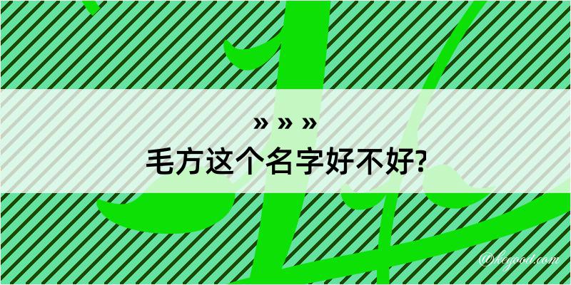 毛方这个名字好不好?