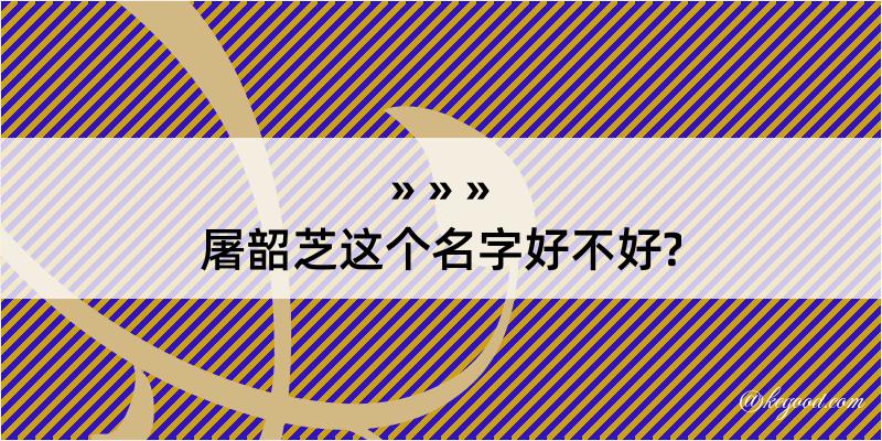 屠韶芝这个名字好不好?