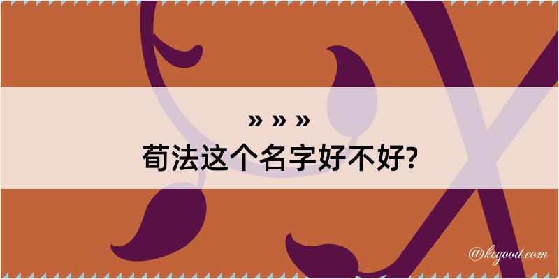 荀法这个名字好不好?