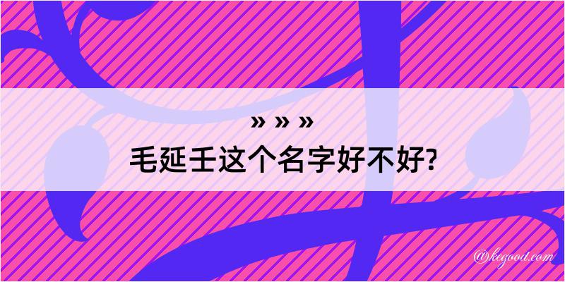 毛延壬这个名字好不好?