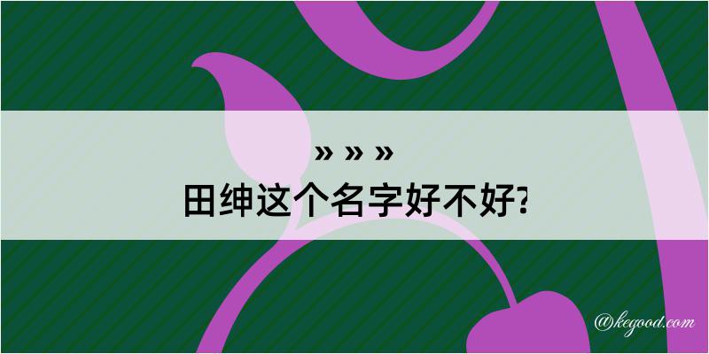 田绅这个名字好不好?