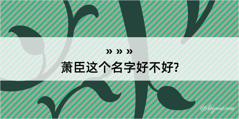 萧臣这个名字好不好?