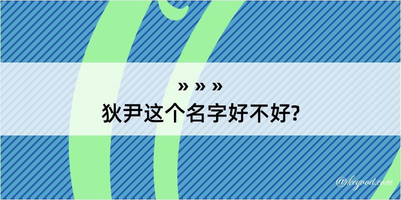 狄尹这个名字好不好?