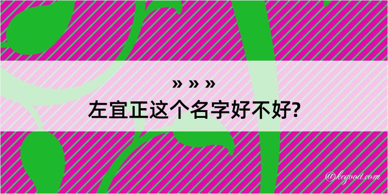 左宜正这个名字好不好?