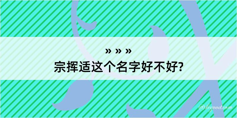 宗挥适这个名字好不好?