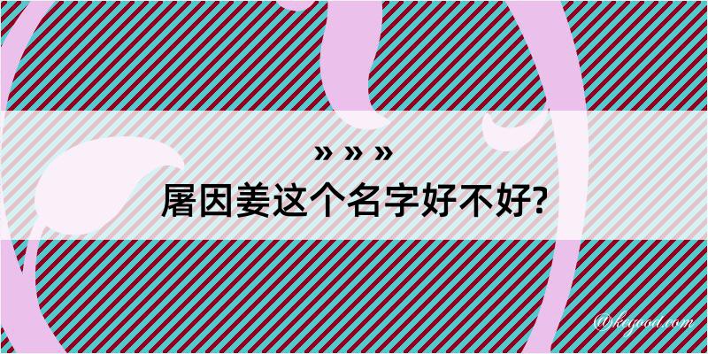 屠因姜这个名字好不好?