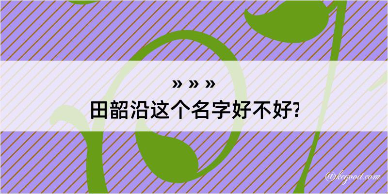 田韶沿这个名字好不好?