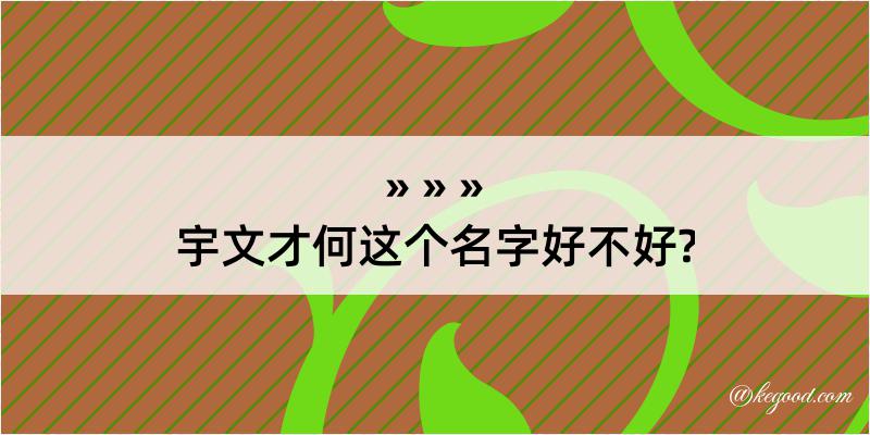 宇文才何这个名字好不好?