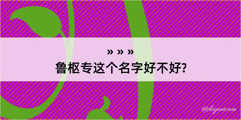 鲁枢专这个名字好不好?